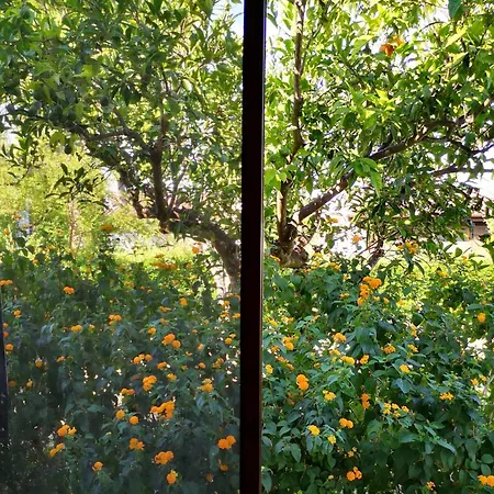 Вилла A Casa Di Alfredo Depandance In *