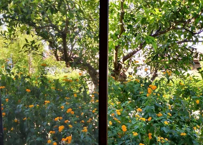 A Casa Di Alfredo Depandance In レッチェ